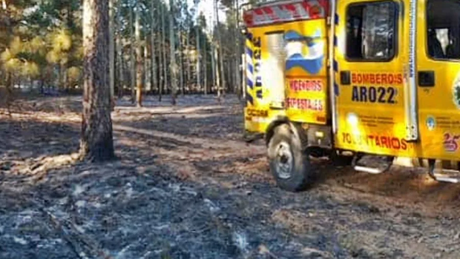Hubo un foco ígneo en una plantación de árboles en el departamento Concordia