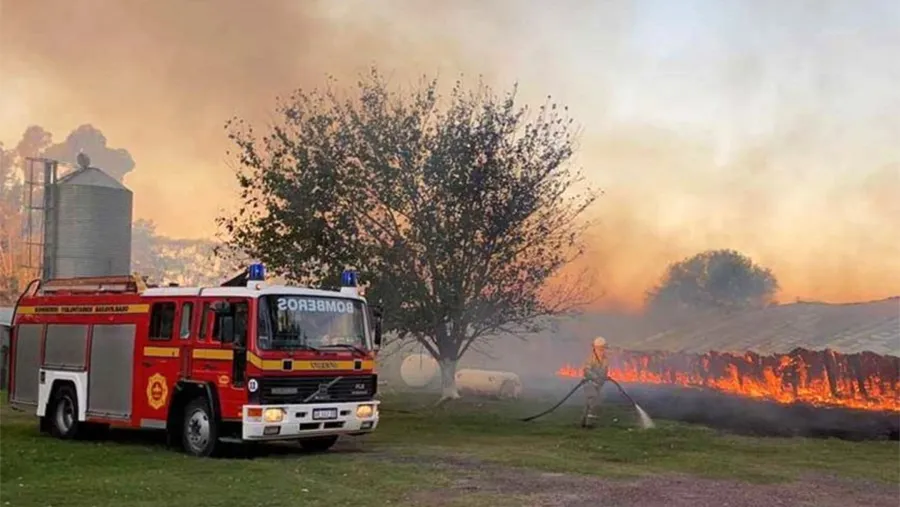 El siniestro ocurrió poco antes de las 18 del jueves en el predio destinado a las prácticas de producción de la Escuela de Educación Agrotécnica N° 145 ubicada a metros del Acceso Oeste de Basavilbaso.