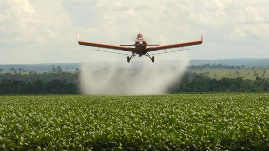 Fumigaciones Fumigaciones