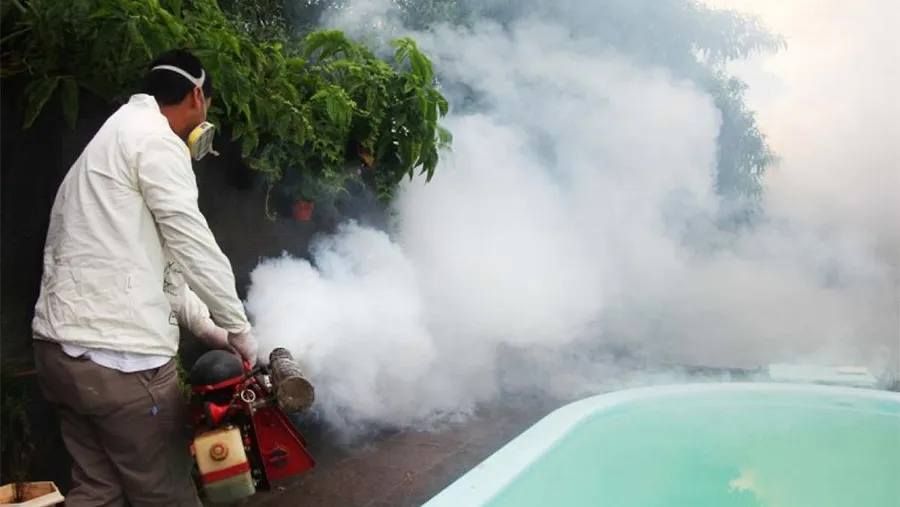 La enfermedad se transmite mediante la picadura del mosquito Aedes aegypti, que también contagia afecciones como la fiebre amarilla, el zika y el dengue. La enfermedad se transmite mediante la picadura del mosquito Aedes aegypti, que también contagia afecciones como la fiebre amarilla, el zika y el dengue.