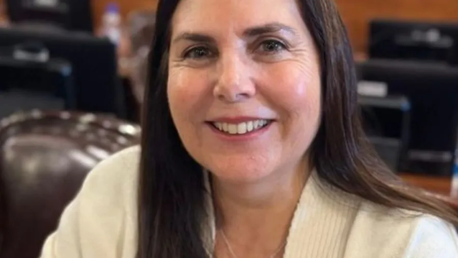 La diputada Gabriela Lena (UCR-JxER) repudió las declaraciones del presidente Javier Milei sobre Raúl Alfonsín, destacando su papel en la democracia.