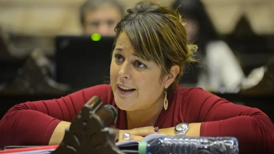 Fuerte respuesta de Gaillard a Lena tras plantear la intervención del Copnaf