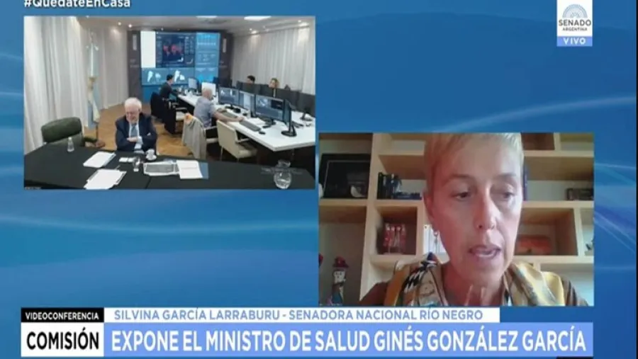 Ginés González García en videoconferencia con senadores