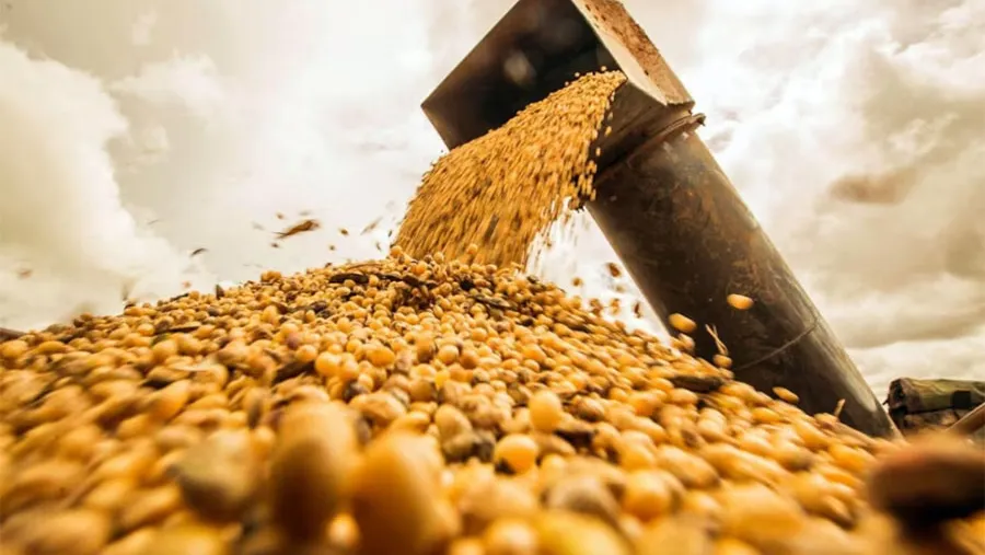 El Gobierno dará inicio a la baja temporal de retenciones al campo y hará controles 