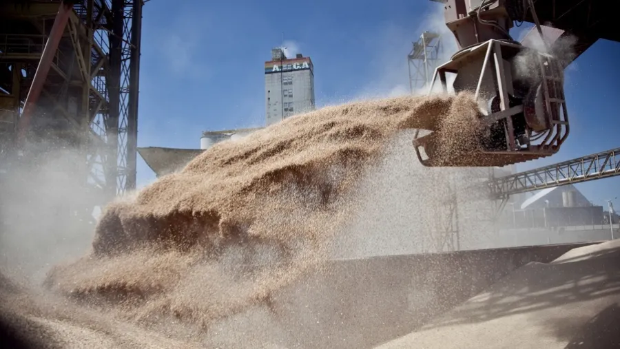 La tendencia alcista en el precio de los granos no se detiene.