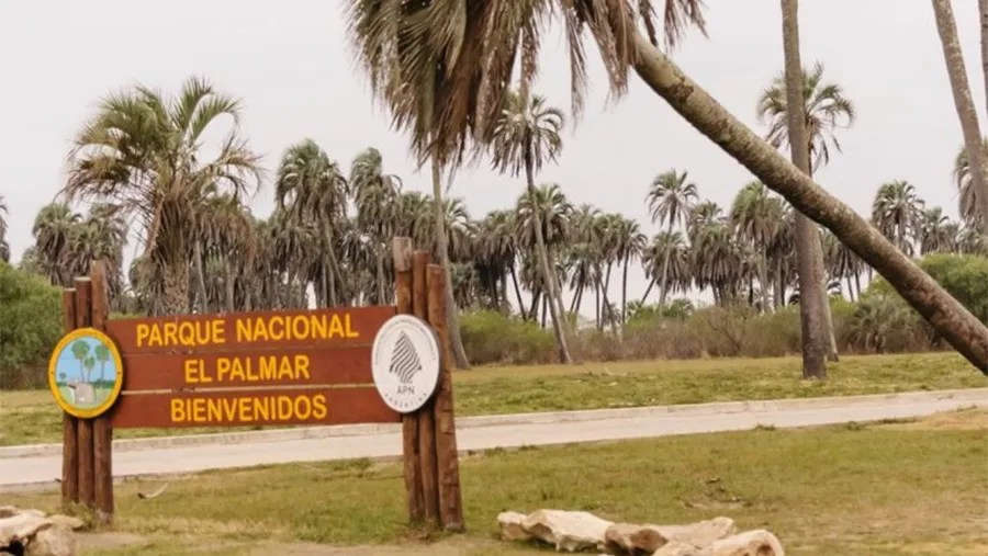 Parques Nacionales cuenta con un plantel de unos 2.000 empleados en todo el país, entre guardaparques, administrativos, brigadistas, técnicos, profesionales e investigadores.