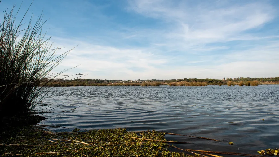 Realizarán en Paraná una actividad este miércoles por el Día Mundial de los Humedales