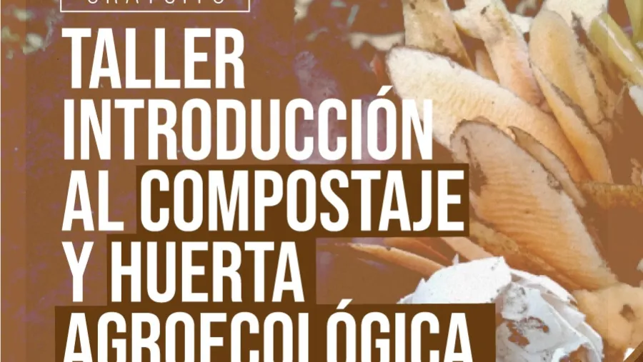 Taller 