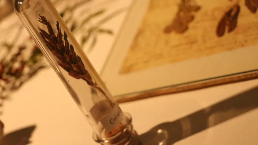  Montaje e Iluminación para Museos y Salas Culturales