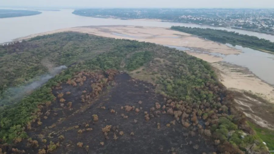 Advirtieron que el incendio en la Isla Puente “arrasó con todo lo que es vida”