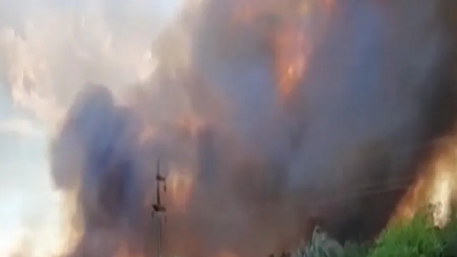 Bomberos de distintas localidades trabajan para combatir un importante incendio forestal