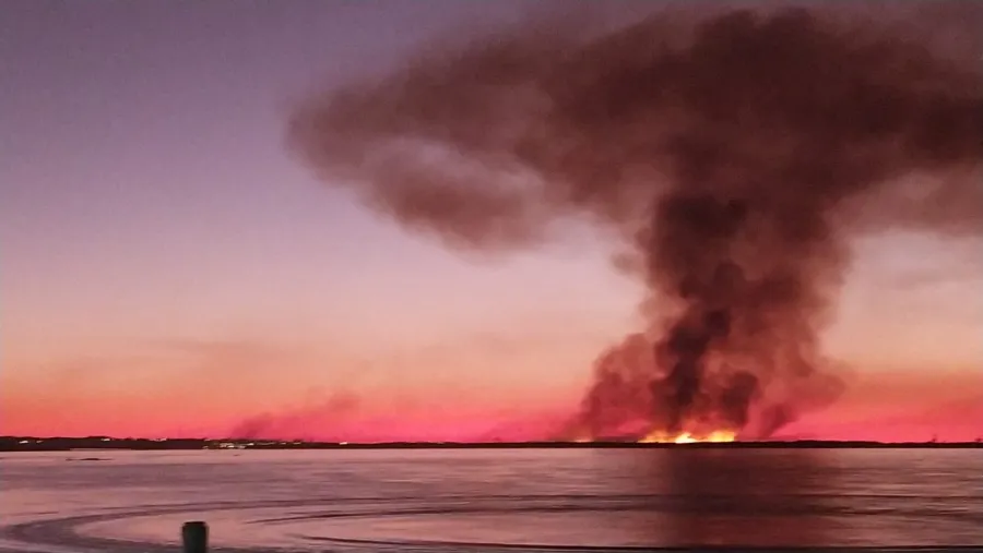 Señalan intencionalidad en los incendios en las islas santafesinas Señalan intencionalidad en los incendios en las islas santafesinas