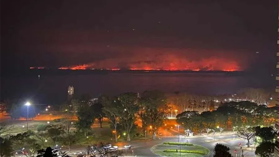 Distintas organizaciones y ciudadanos en generales reclaman una urgente sanción de Ley de Humedales, como una herramienta para combatir los incendios en las islas del Delta.