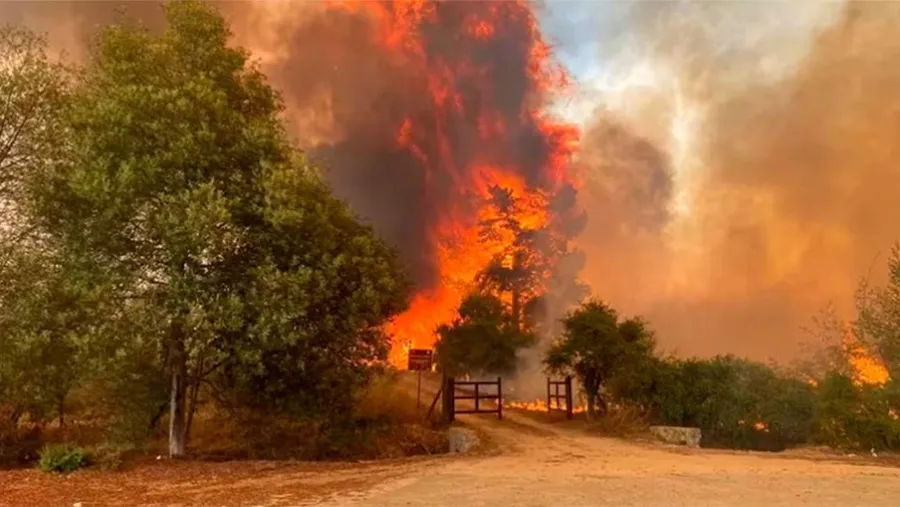 Decretaron toque de queda en la región de Valparaíso y Viña del Mar.
