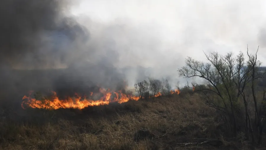 El gobierno entrerriano extendió la emergencia ambiental a todo el territorio provincial El gobierno entrerriano extendió la emergencia ambiental a todo el territorio provincial