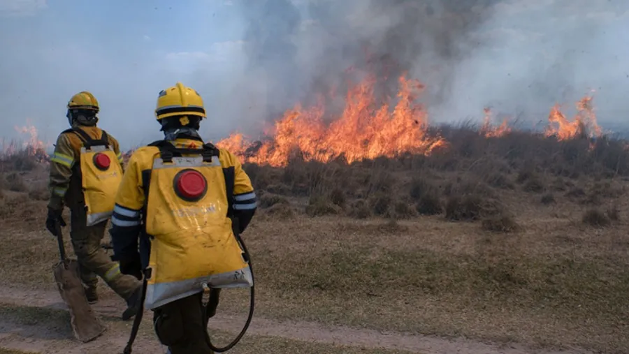 Imagen de archivo de brigadistas combatiendo los incendios en la zona del Delta del río Paraná. Una tragedia que no tiene fin.