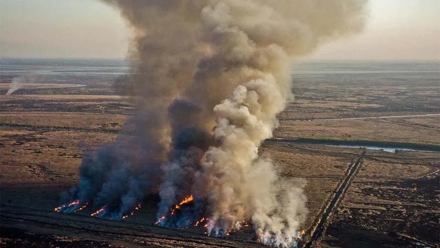 Legisladores nacionales buscan derogar la ley que evita la especulación inmobiliaria tras los incendios forestales. Quieren dar vía libres a la posibilidad de incendiar para vender.