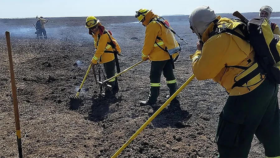 incendios Delta brigadistas