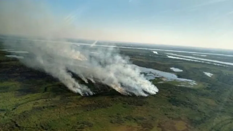 incendios islas de Ibicuy
