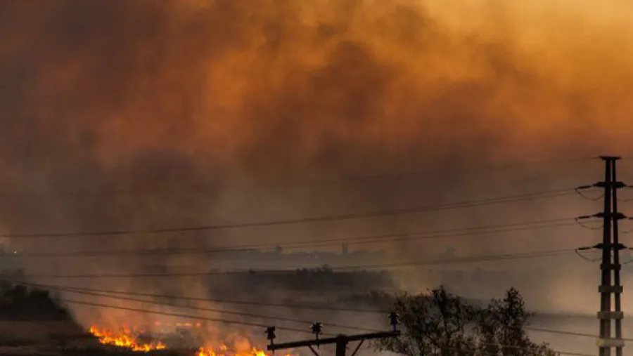 incendios islas Victoria-Rosario