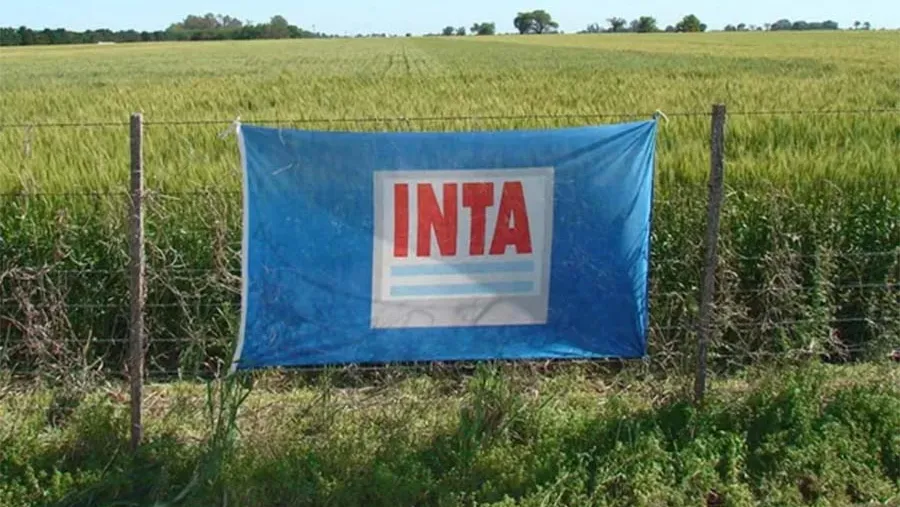 “Agroecología”, “cambio climático”, “biodiversidad”: las palabras prohibidas en el INTA.