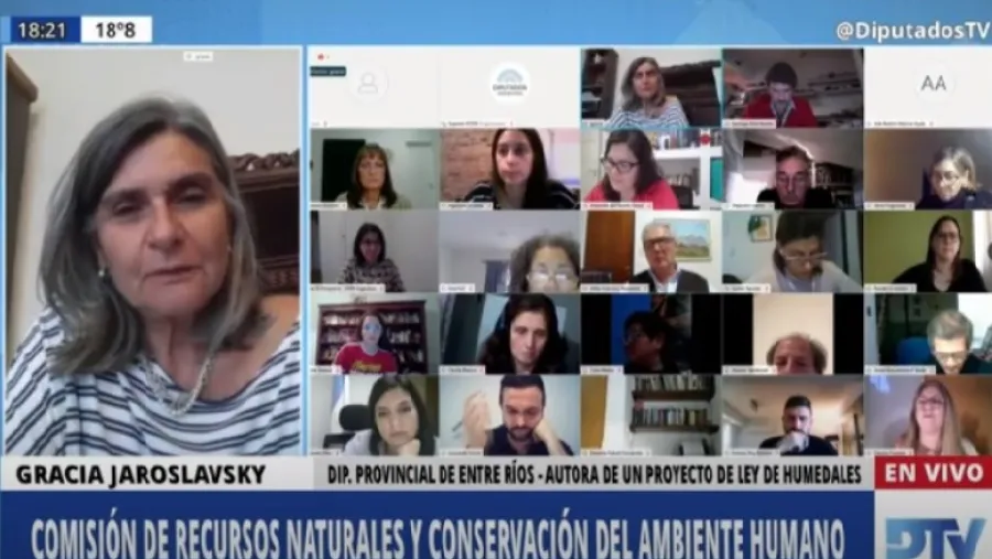 En el Congreso, Jaroslavsky instó a “federalizar” el debate sobre la ley de Humedales