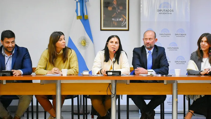 Gabriela Mabel Lena presidirá la Comisión de Comercio de la Cámara de Diputados.