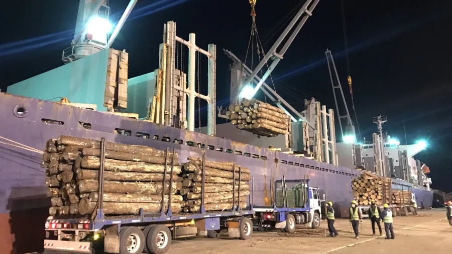 La provincia ratificó su estrategia para el desarrollo forestal La provincia ratificó su estrategia para el desarrollo forestal