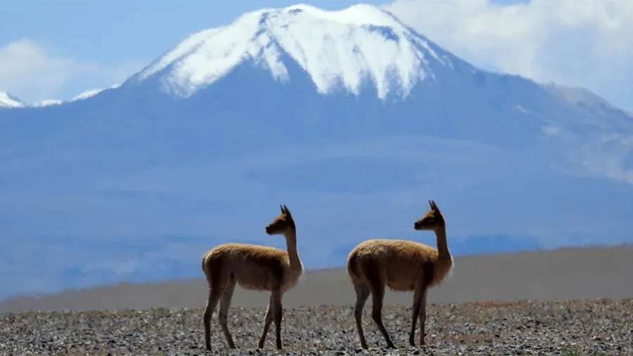 Las montañas, que albergan entre el 60 y el 80% del agua dulce del mundo y son el hogar del 15% de la población, están “en riesgo” por el cambio climático y los avances de la minería. Las montañas, que albergan entre el 60 y el 80% del agua dulce del mundo y son el hogar del 15% de la población, están “en riesgo” por el cambio climático y los avances de la minería.
