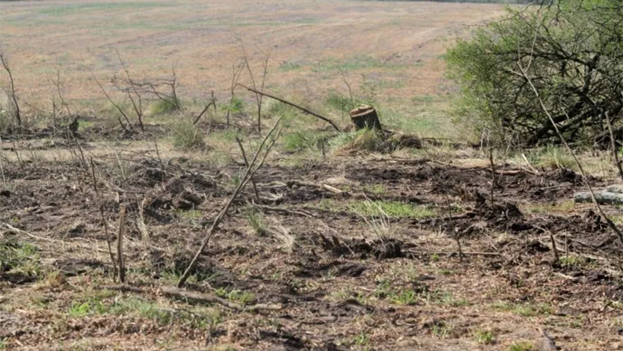 El desmonte se produjo en inmediaciones de la Ruta 9 que conduce a Villa Urquiza.