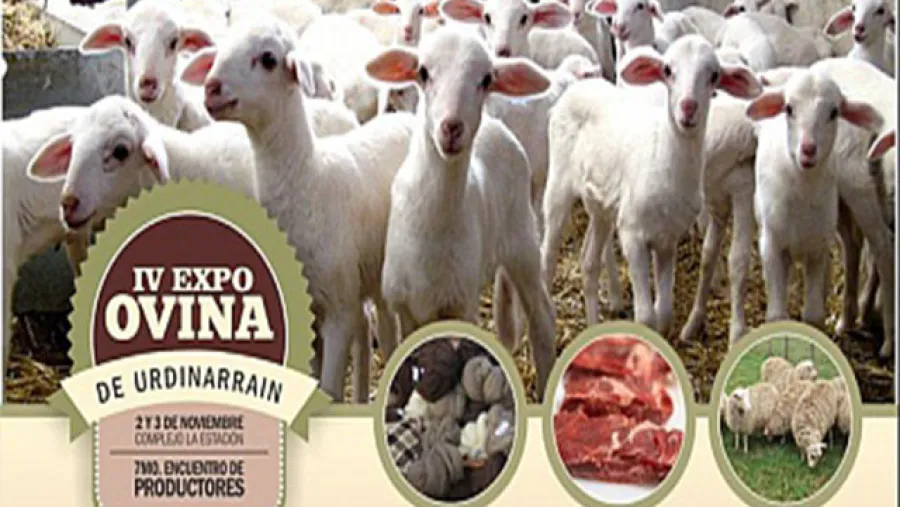 muestra ovina