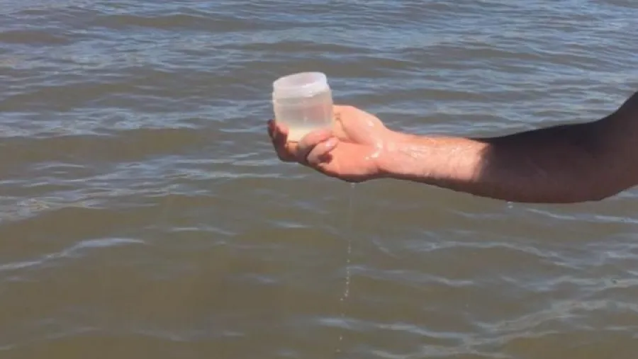 muestreo agua playas muestreo agua playas