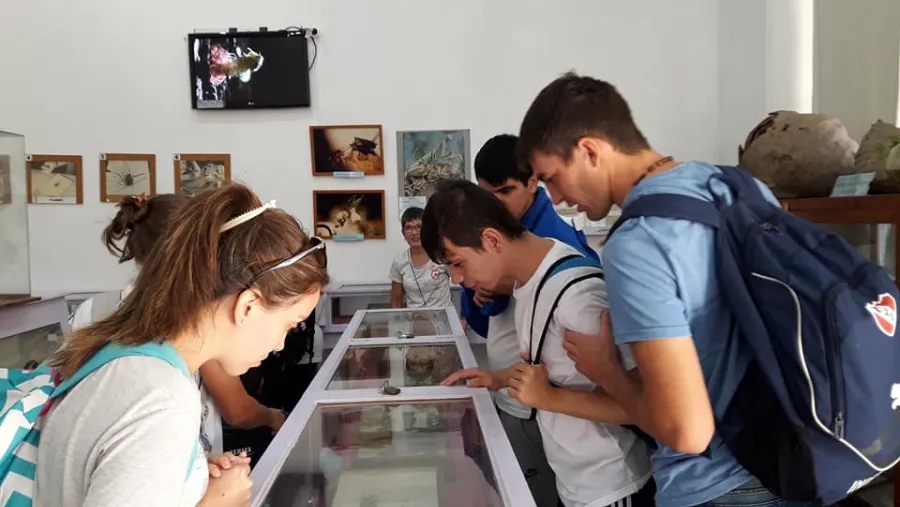 Museo Antonio Serrano 