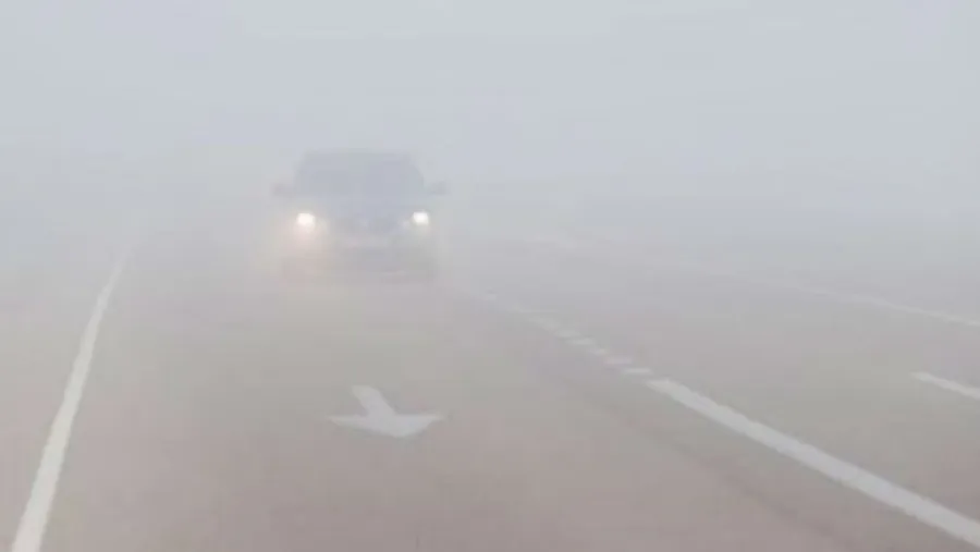Niebla Niebla