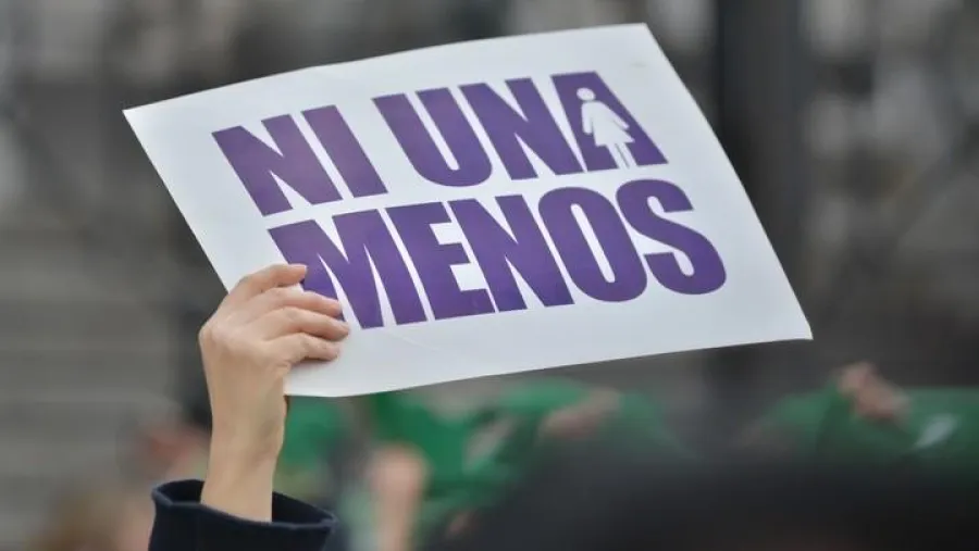 Periodistas Feministas de Entre Ríos apelaron “por una reforma judicial feminista”