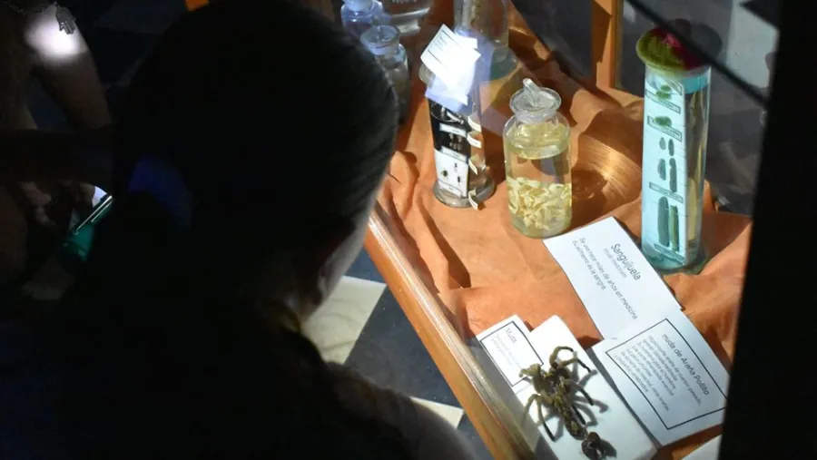 Museo Antonio Serrano 