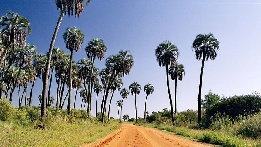 La Mancomunidad Tierras de Palmares elaborará para los próximos días un proyecto con la modalidad, protocolos y formas de control para reactivar el turismo en esa región.