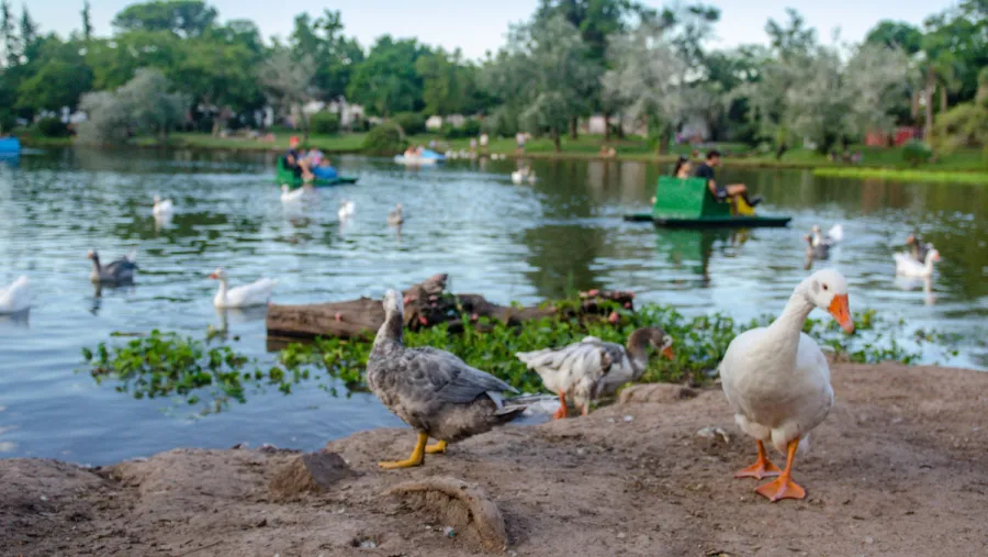 Foto Gustavo Roger Cabral