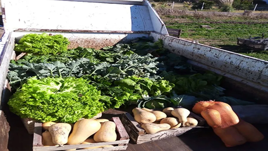 verduras Parque Hortícola