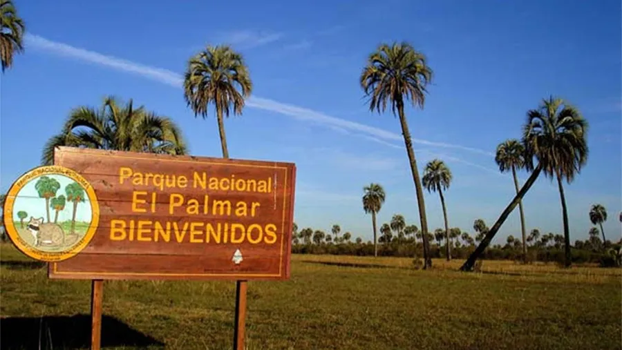 Imagen de archivo del Parque Nacional El Palmar. Imagen de archivo del Parque Nacional El Palmar.