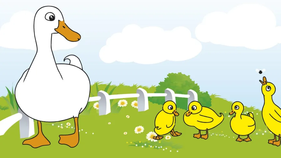 La tragicomedia del pato y los patitos