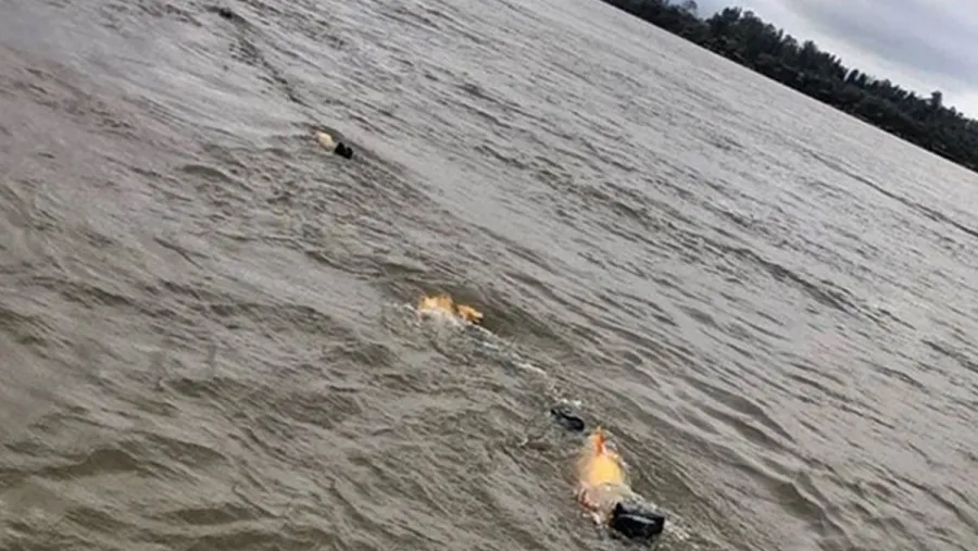 En plena veda, aparecieron mallas repletas de dorados en el río Uruguay