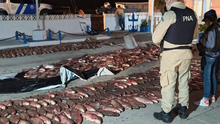 En un procedimiento llevado adelante el jueves en horas nocturnas, personal de Prefectura con asiento en Ibicuy, decomisó 3.000 kilogramos de pescado.