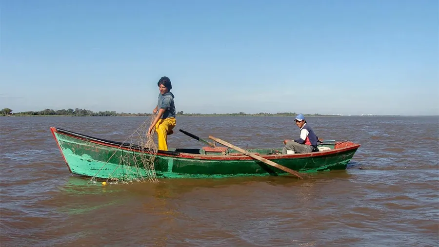 La idea es conformar una mesa interinstitucional para promover el desarrollo, con énfasis en aspectos sanitarios y de inocuidad para la modalidad de pesca artesanal.