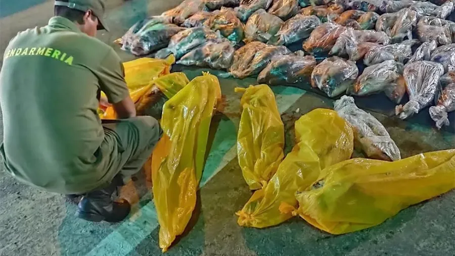 Gendarmería Nacional con asiento en el puente General Belgrano secuestró más de 800 kilos de pescado que se transportaban ilegalmente desde la provincia de Entre Ríos. Gendarmería Nacional con asiento en el puente General Belgrano secuestró más de 800 kilos de pescado que se transportaban ilegalmente desde la provincia de Entre Ríos.