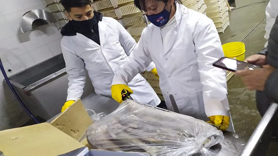 Entre los operativos se incluyeron fiscalización a establecimientos frigoríficos y lugares de acopio y procesamiento de pescado en Victoria.