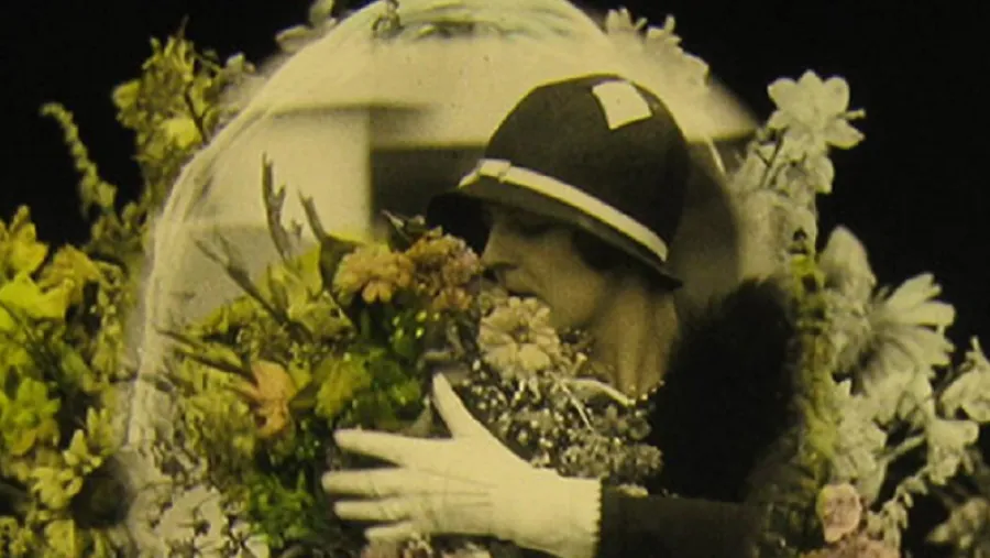 Programa Intensivo en Preservación Audiovisual