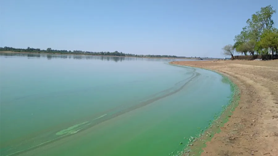 Los informes sobre el estado de las playas del río Uruguay son emitidos por la CARU de periodicidad semanal.