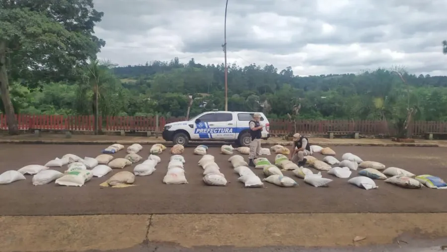 secuestro de soja y maíz 