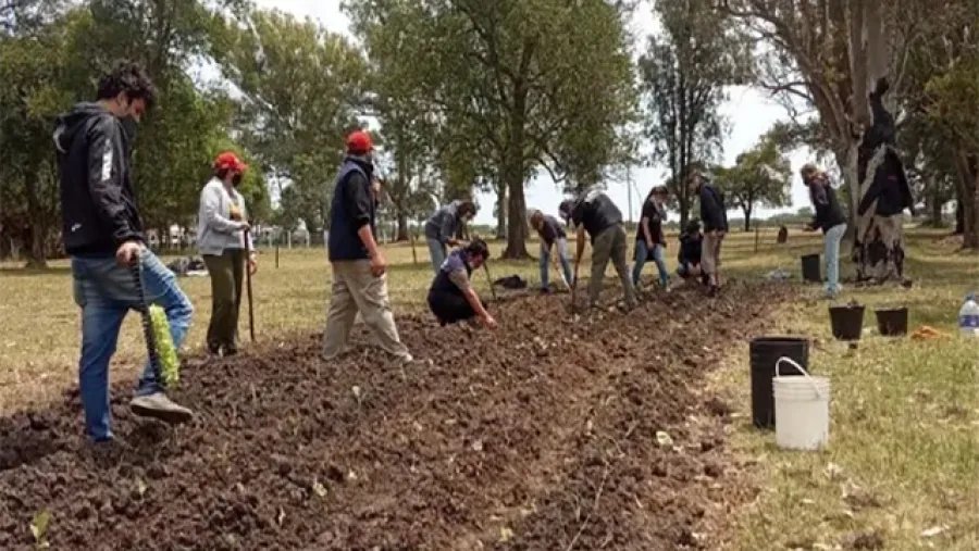 Proyecto Artigas en Casa Nueva